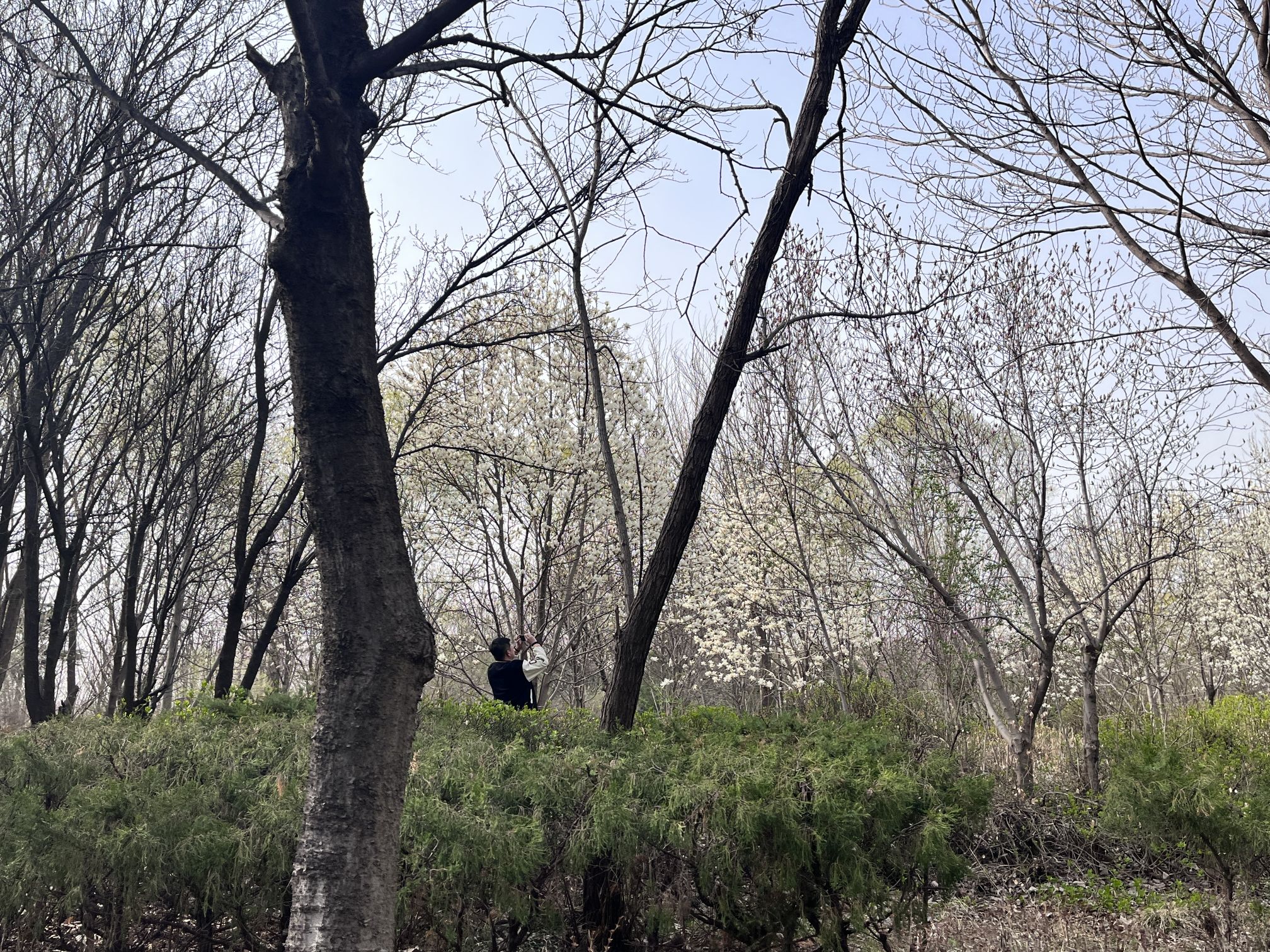 白浪绿洲湿地公园旅行图片 3
