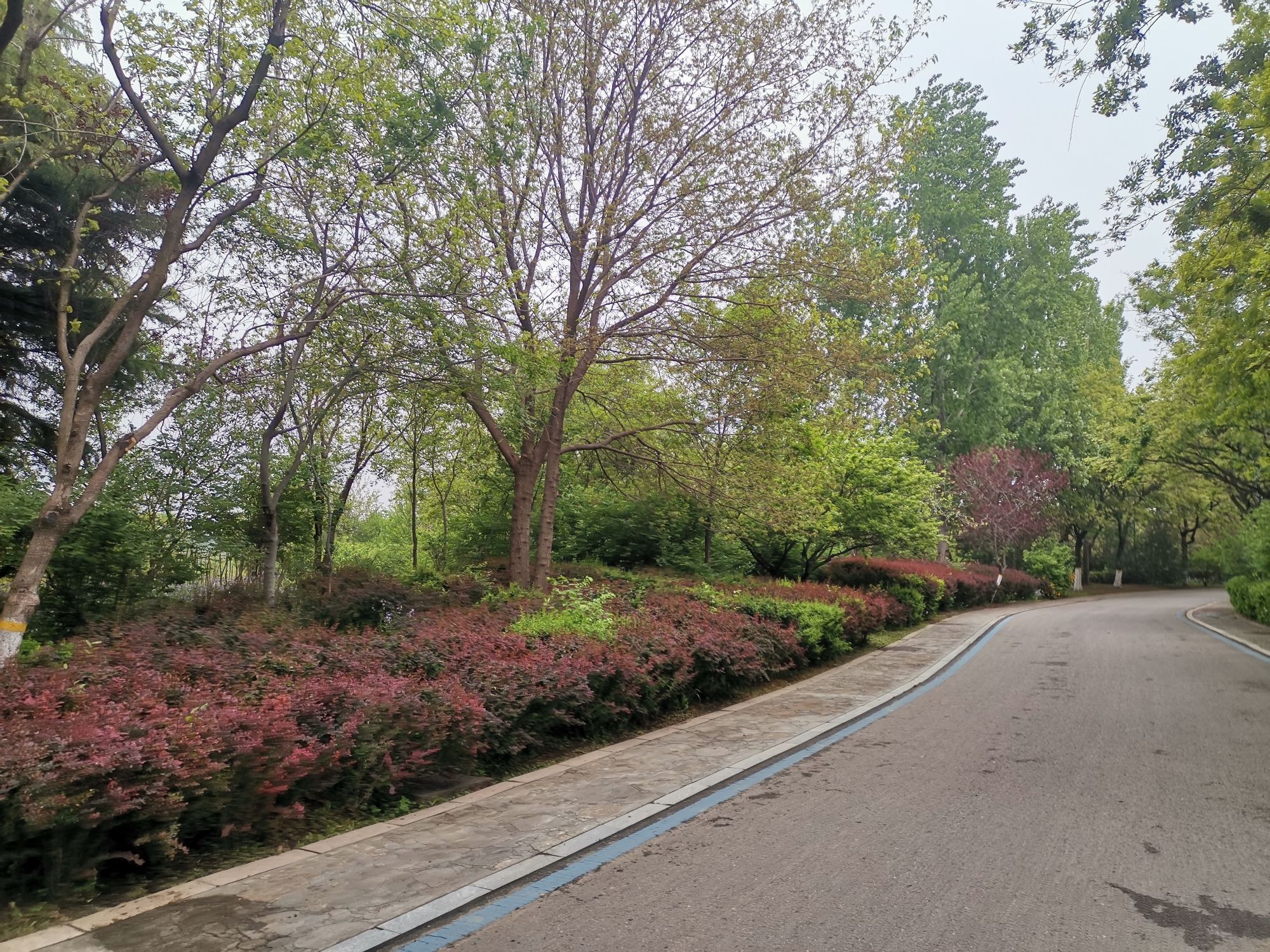 白浪绿洲湿地公园旅行图片 3