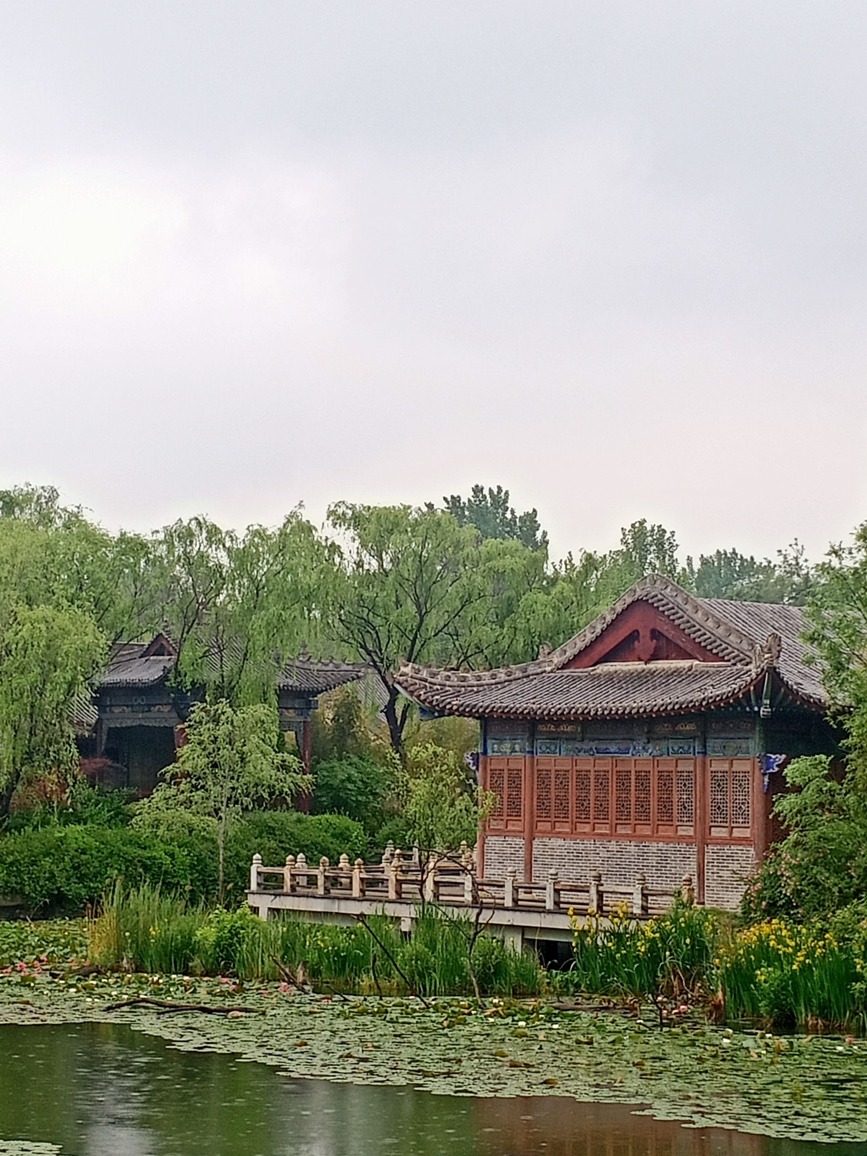 白浪绿洲湿地公园旅行图片 2