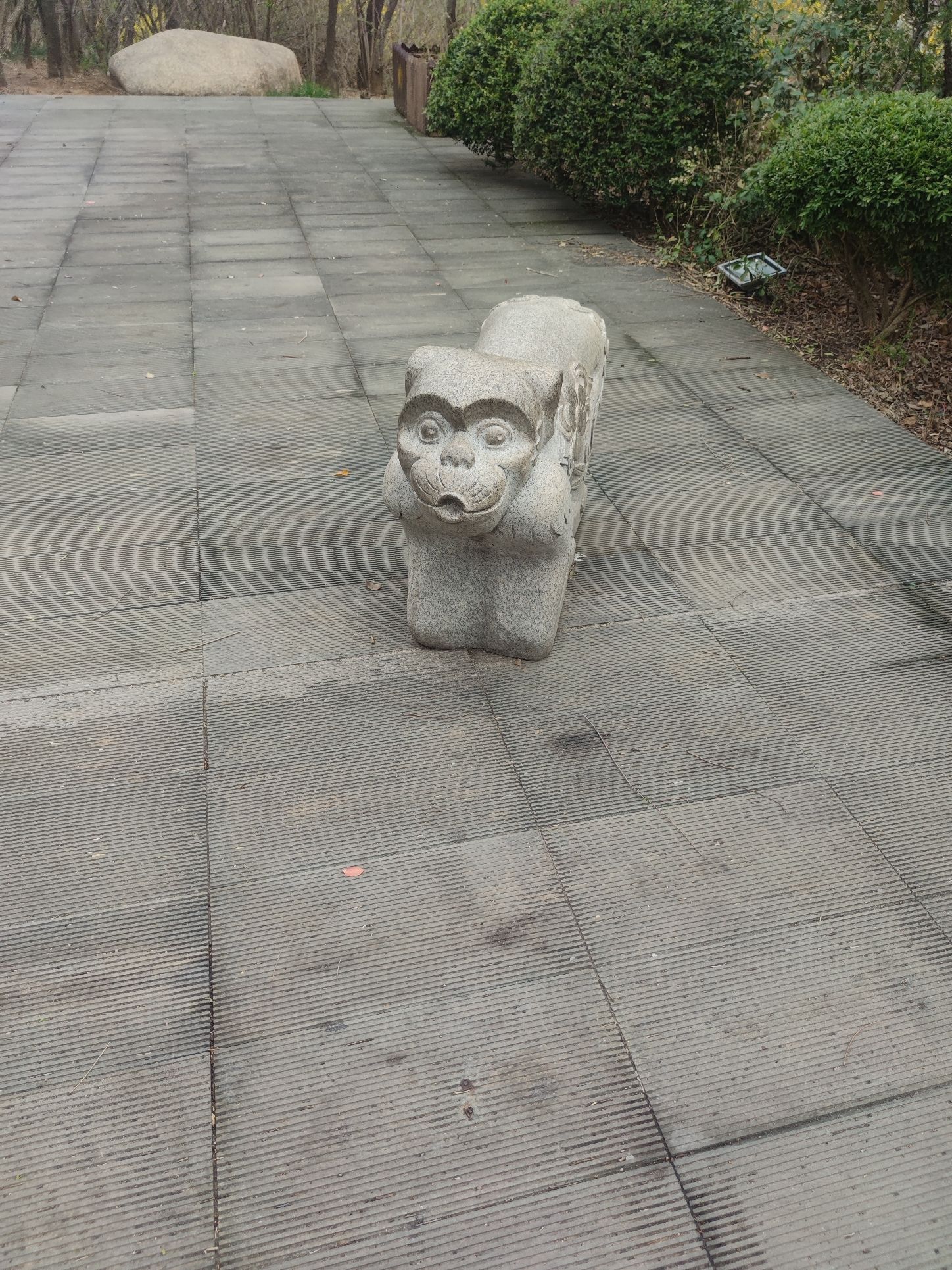 白浪绿洲湿地公园旅行图片 1
