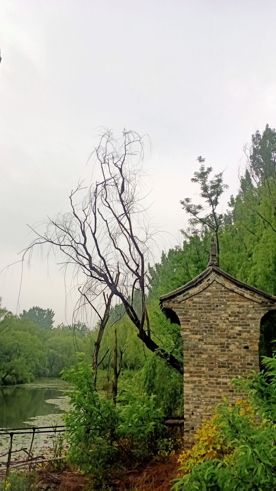 白浪绿洲湿地公园旅行图片 3