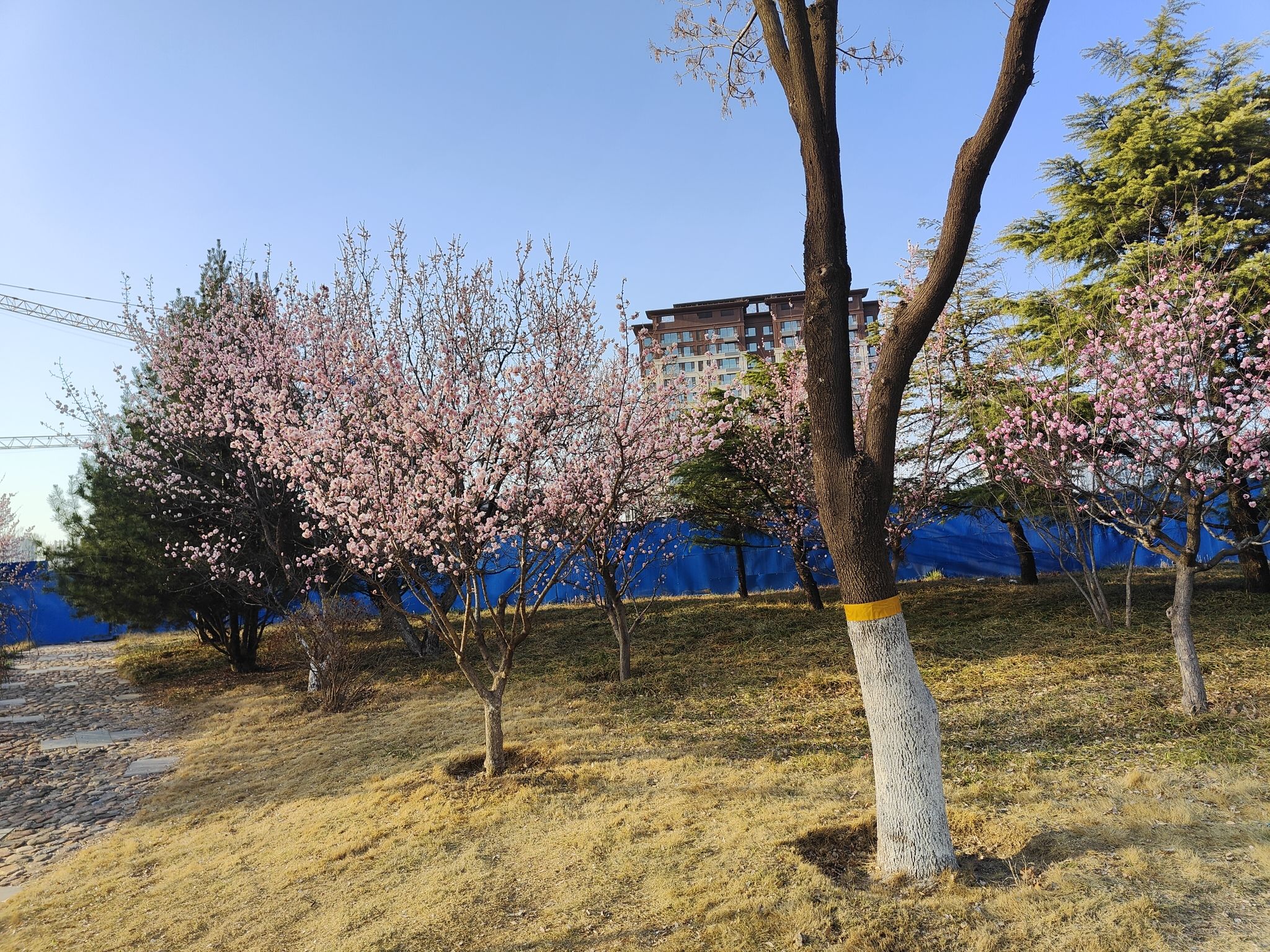 浞河景区旅行图片 1