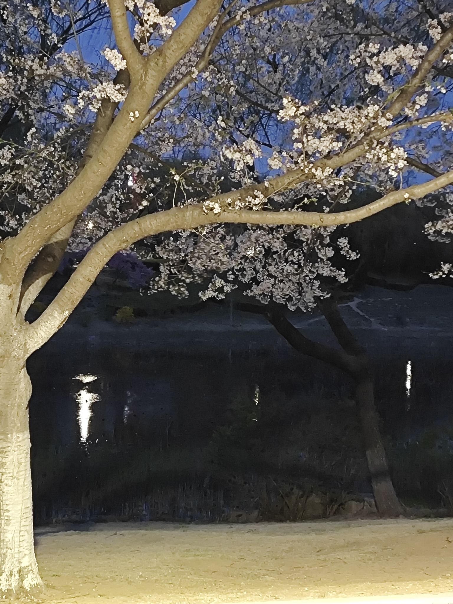 浞河景区旅行图片 2