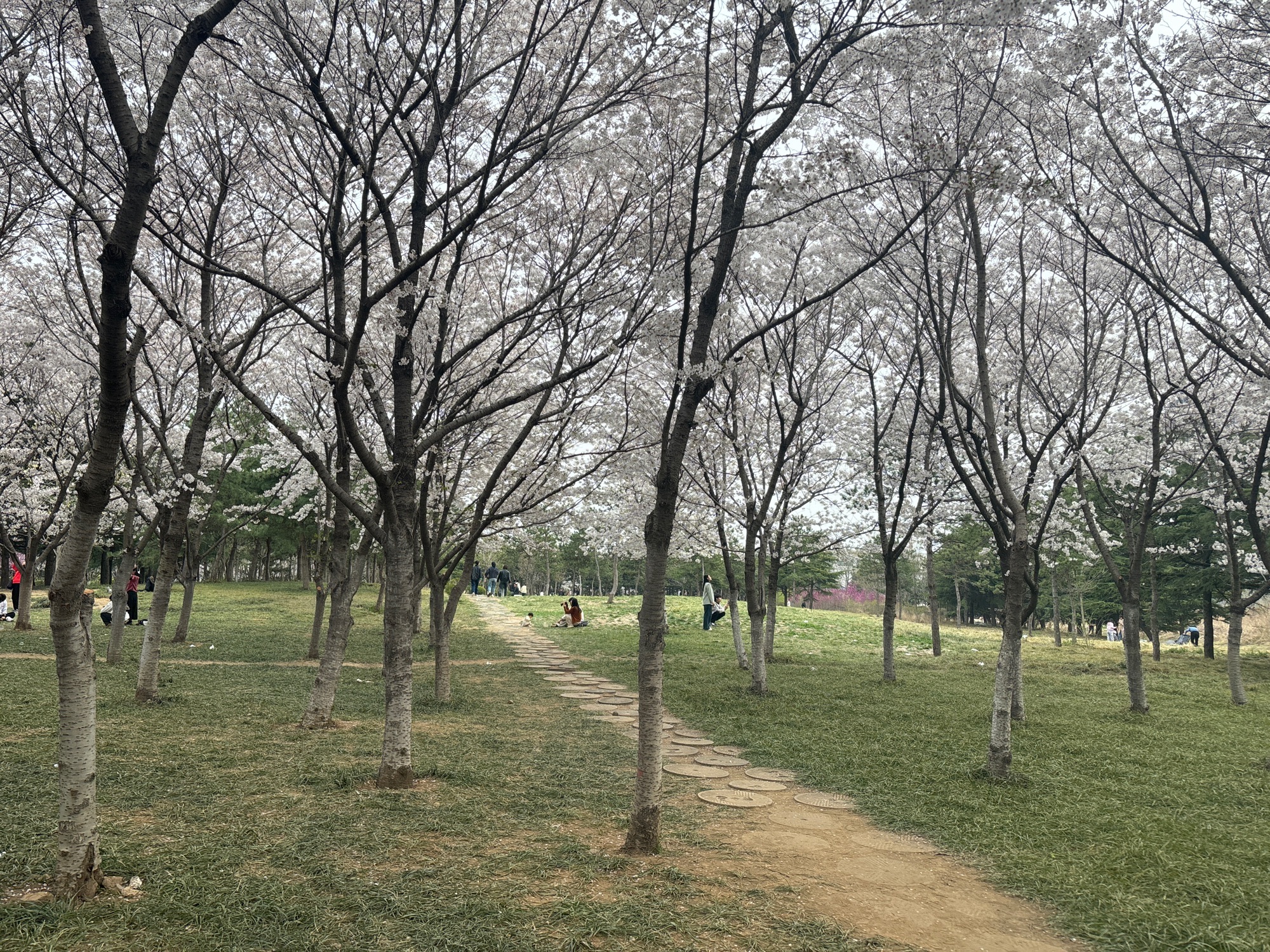 浞河景区旅行图片 2
