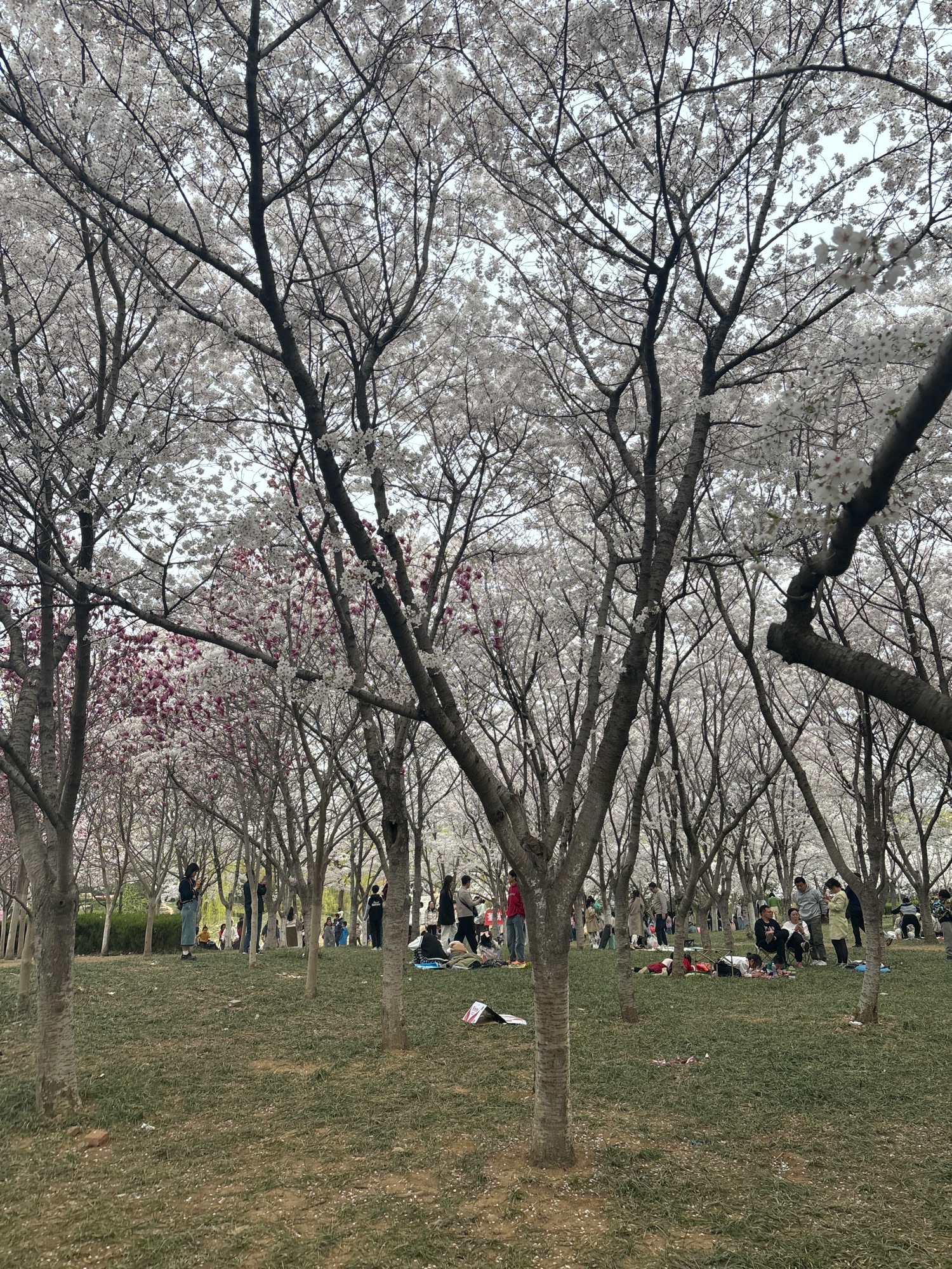 浞河景区旅行图片 1
