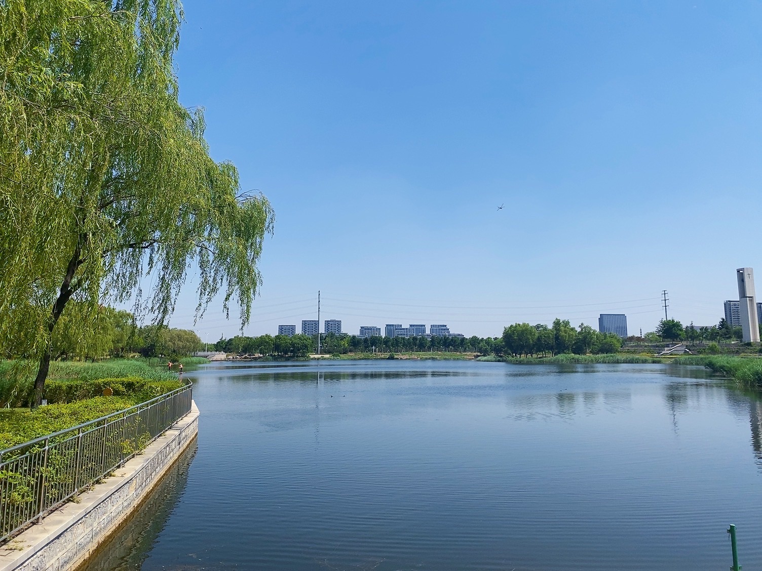 浞河景区