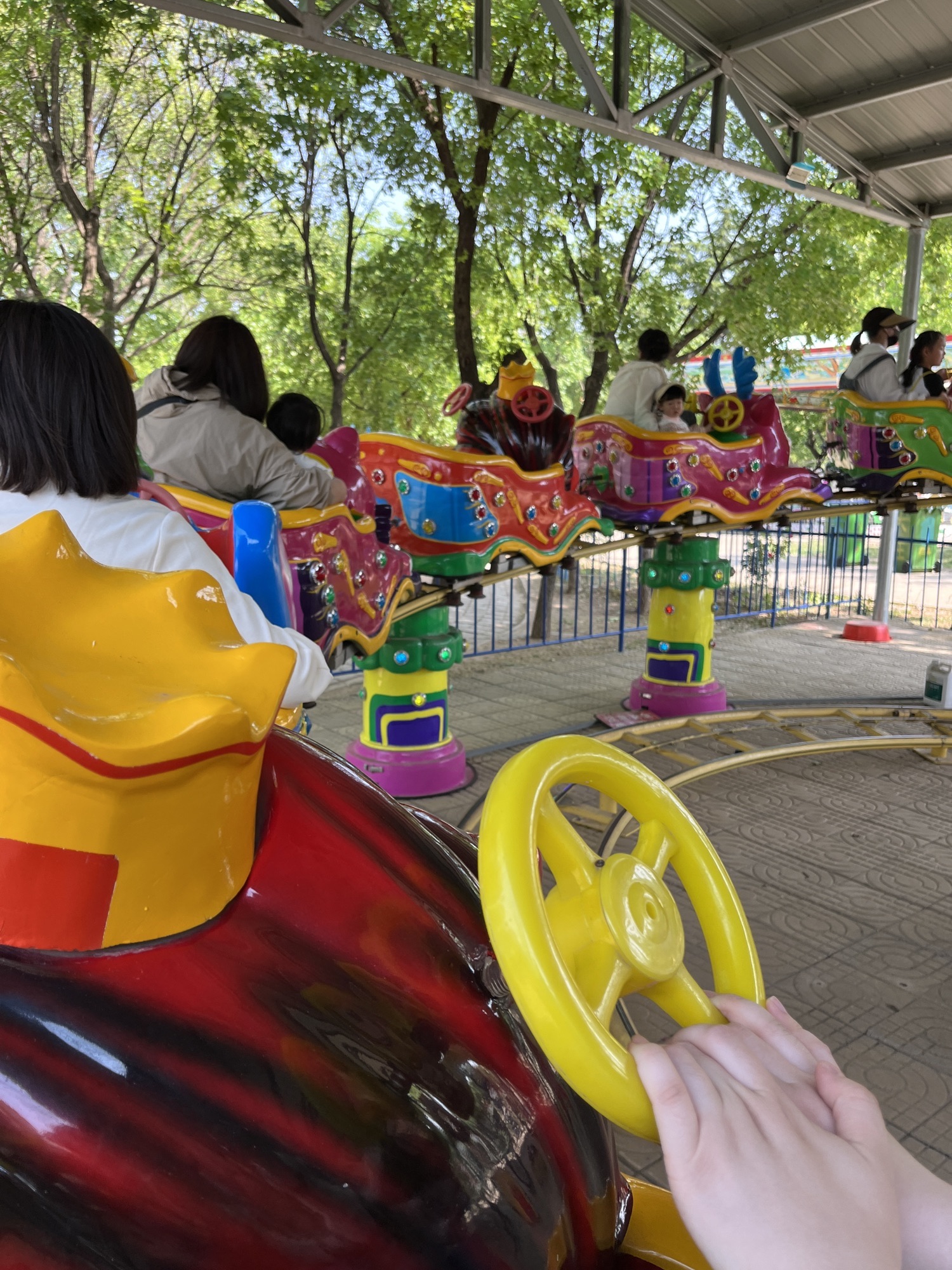 凤凰公园旅行图片 3