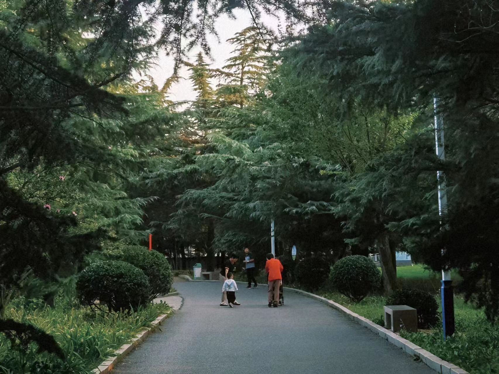 凤凰公园旅行图片 2