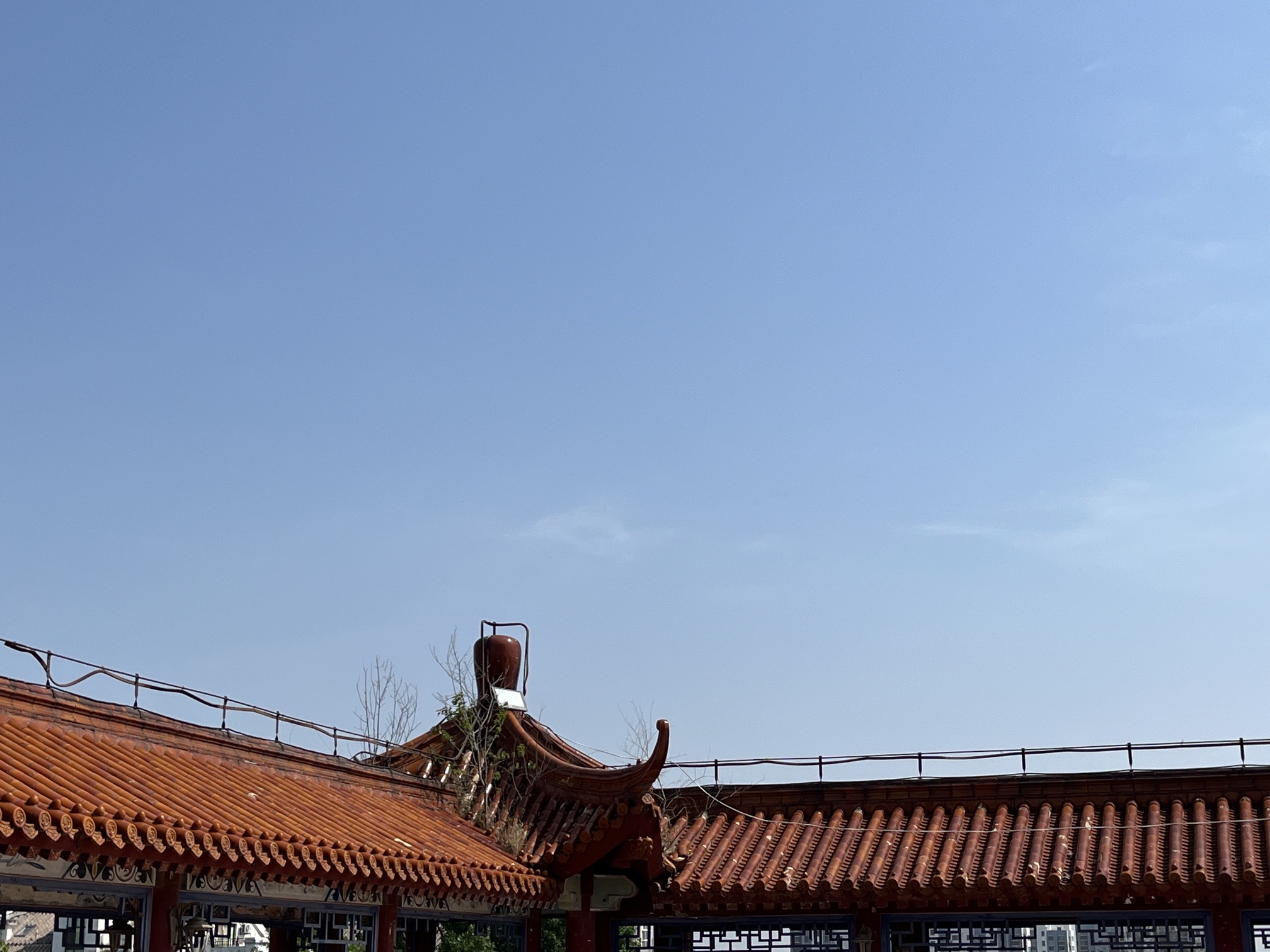 凤凰公园旅行图片 2