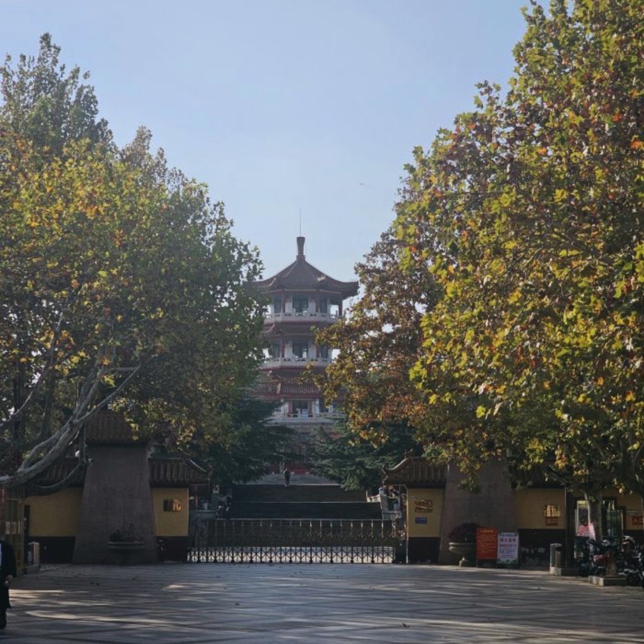 凤凰公园旅行图片 1