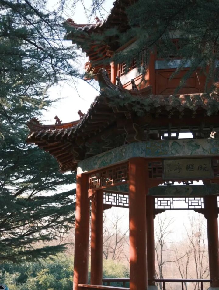 凤凰公园旅行图片 2