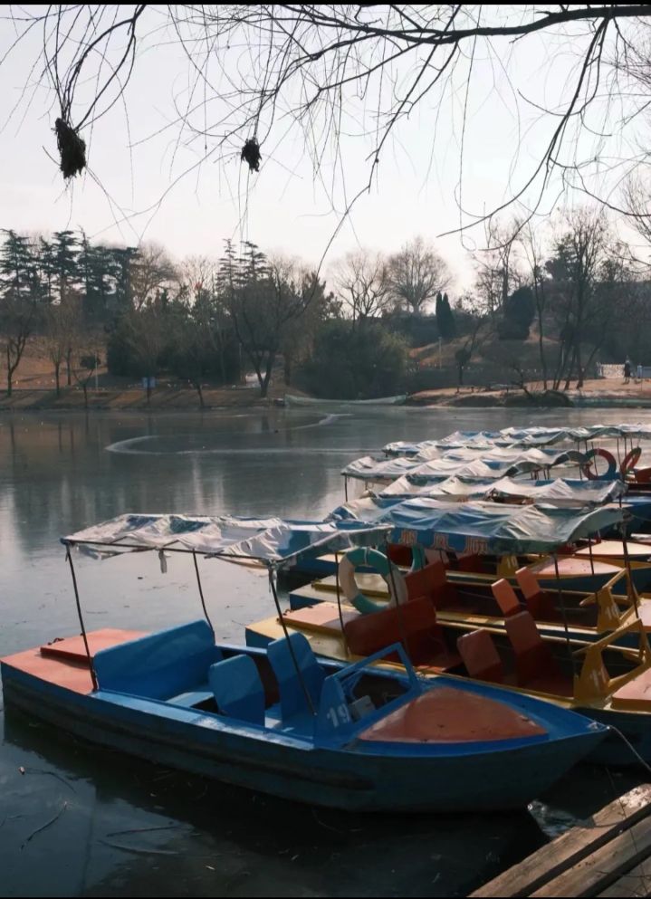 凤凰公园旅行图片 3