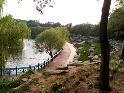 凤凰公园旅行图片 1