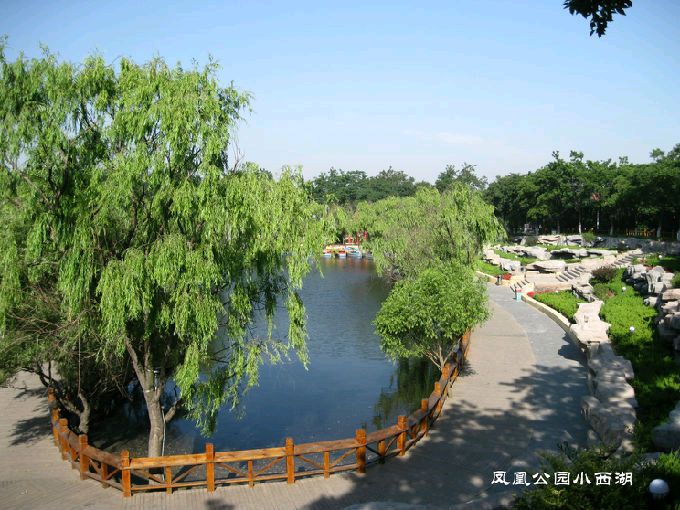 凤凰公园旅行图片 2