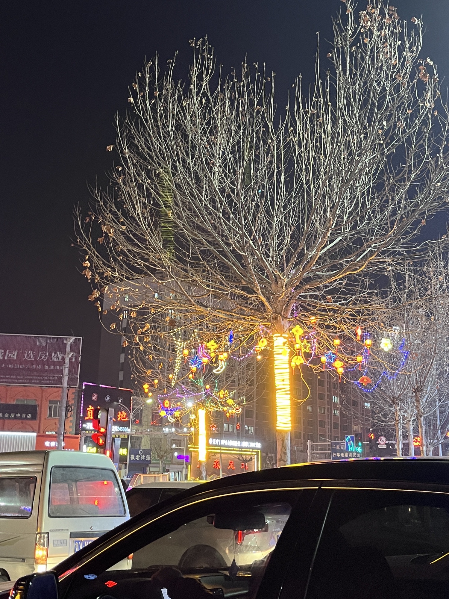 凤凰公园旅行图片 3