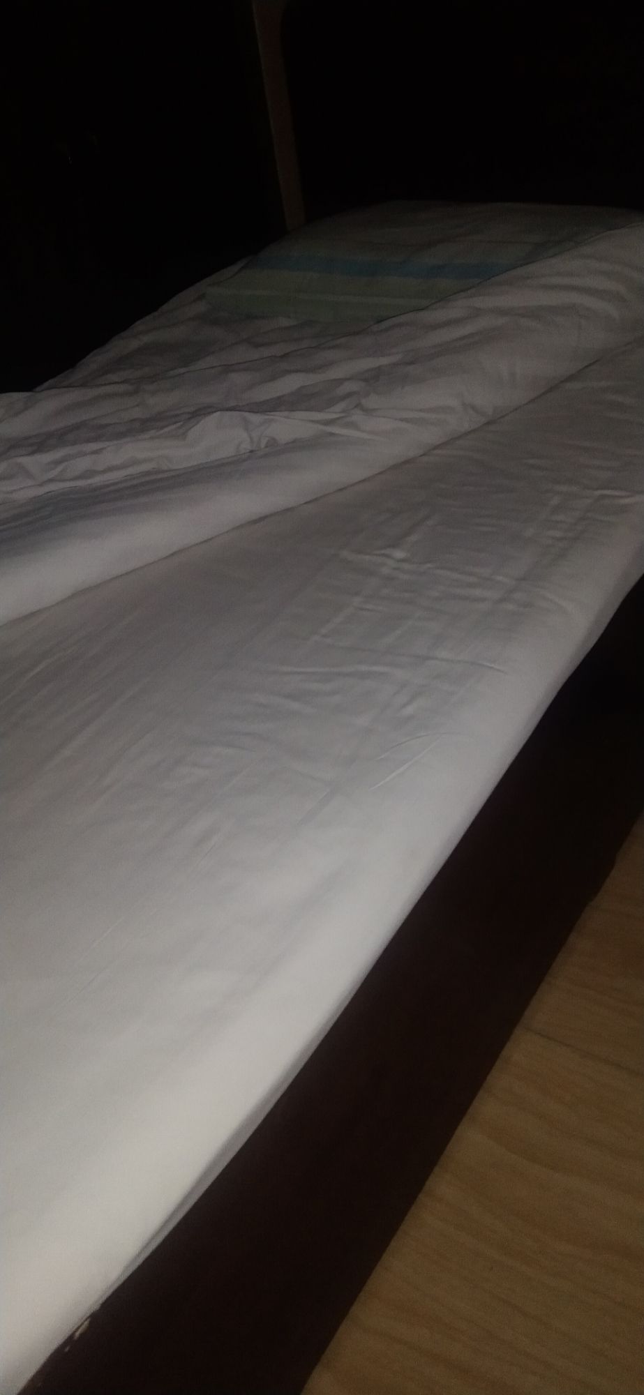 玫瑰公园旅行图片 2