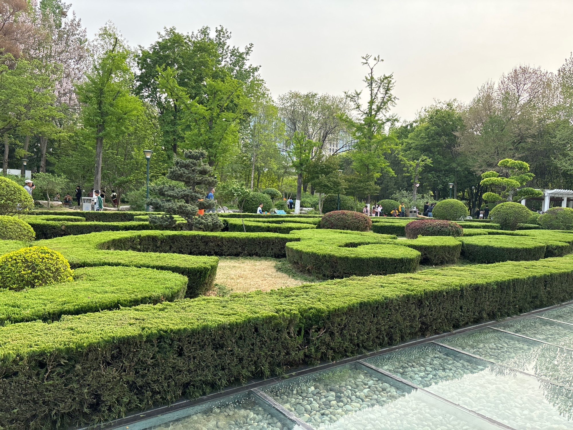 潍坊植物园旅行图片 2
