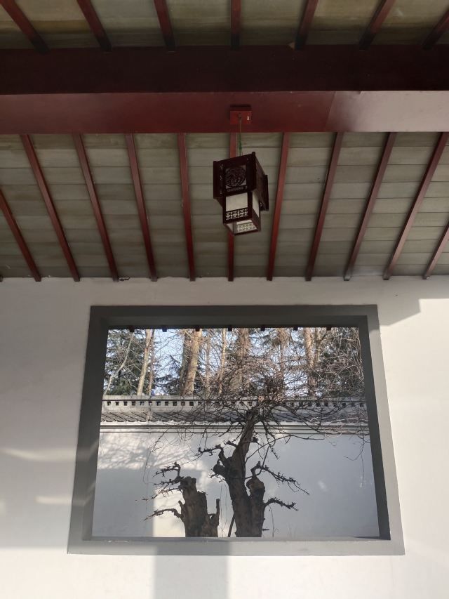 潍坊植物园旅行图片 3