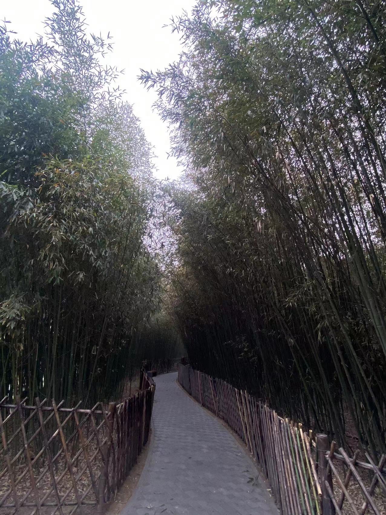 潍坊植物园旅行图片 3