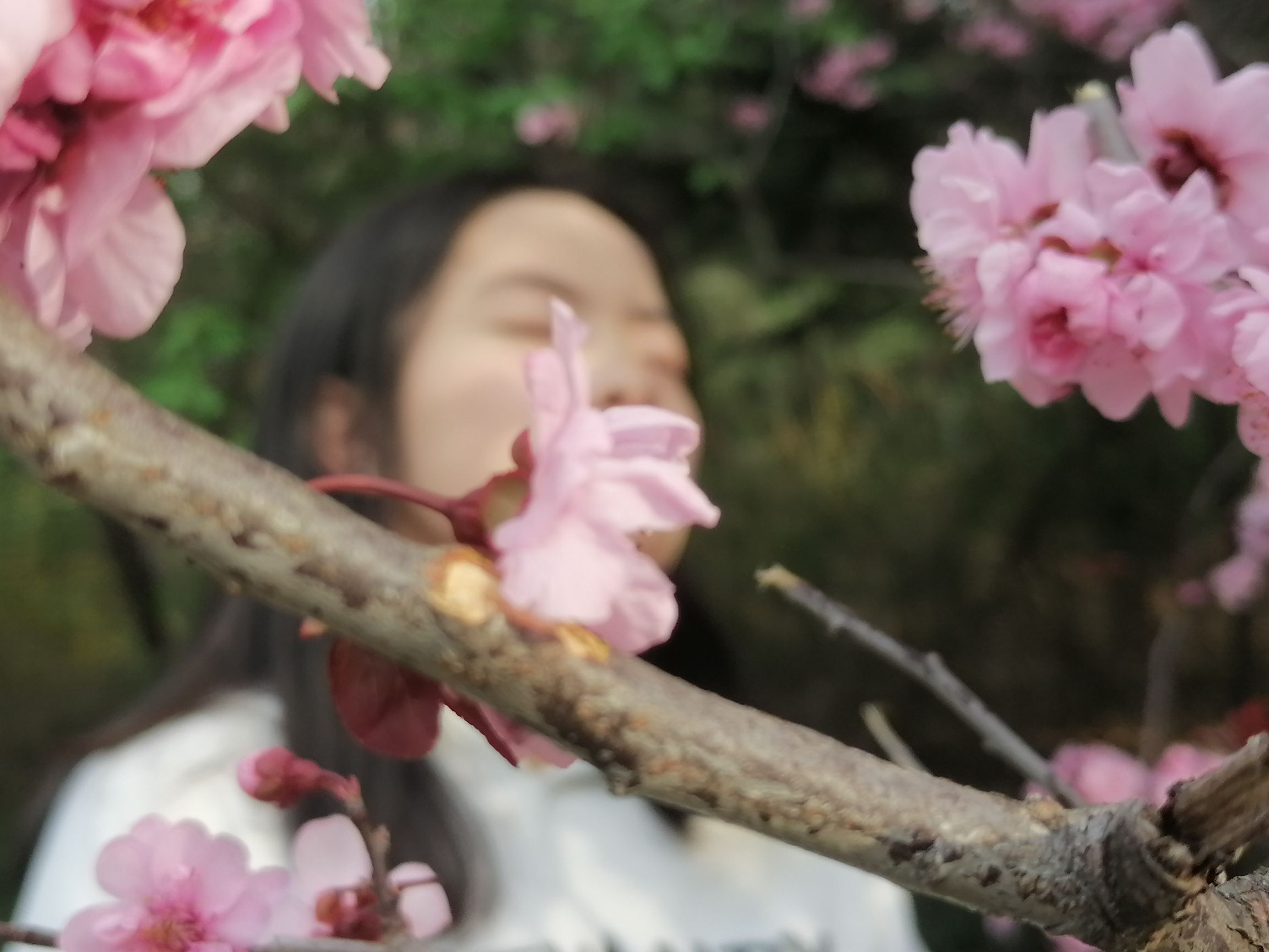 潍坊植物园旅行图片 3