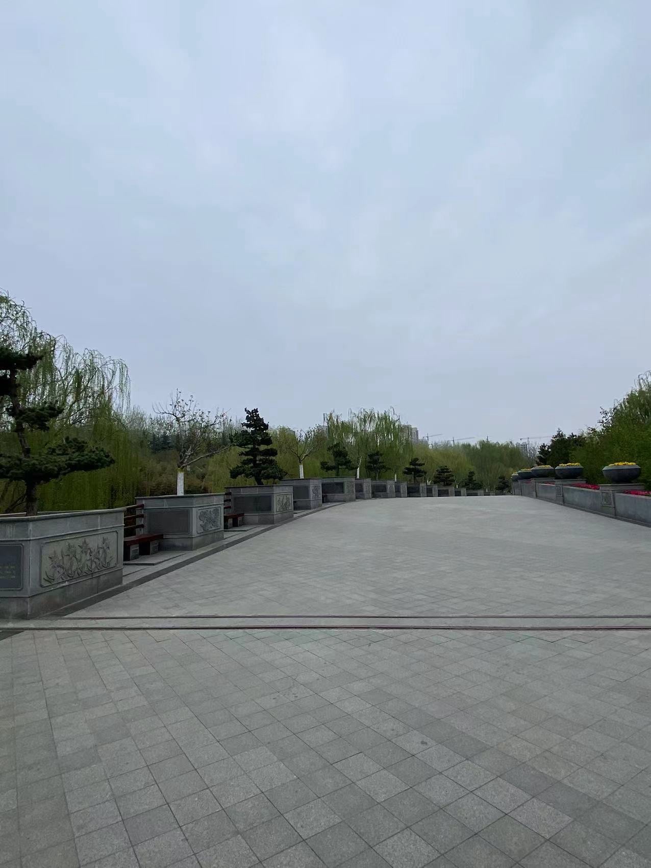 潍坊植物园旅行图片 1