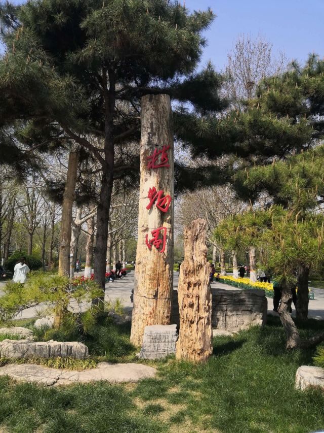 潍坊植物园旅行图片 1