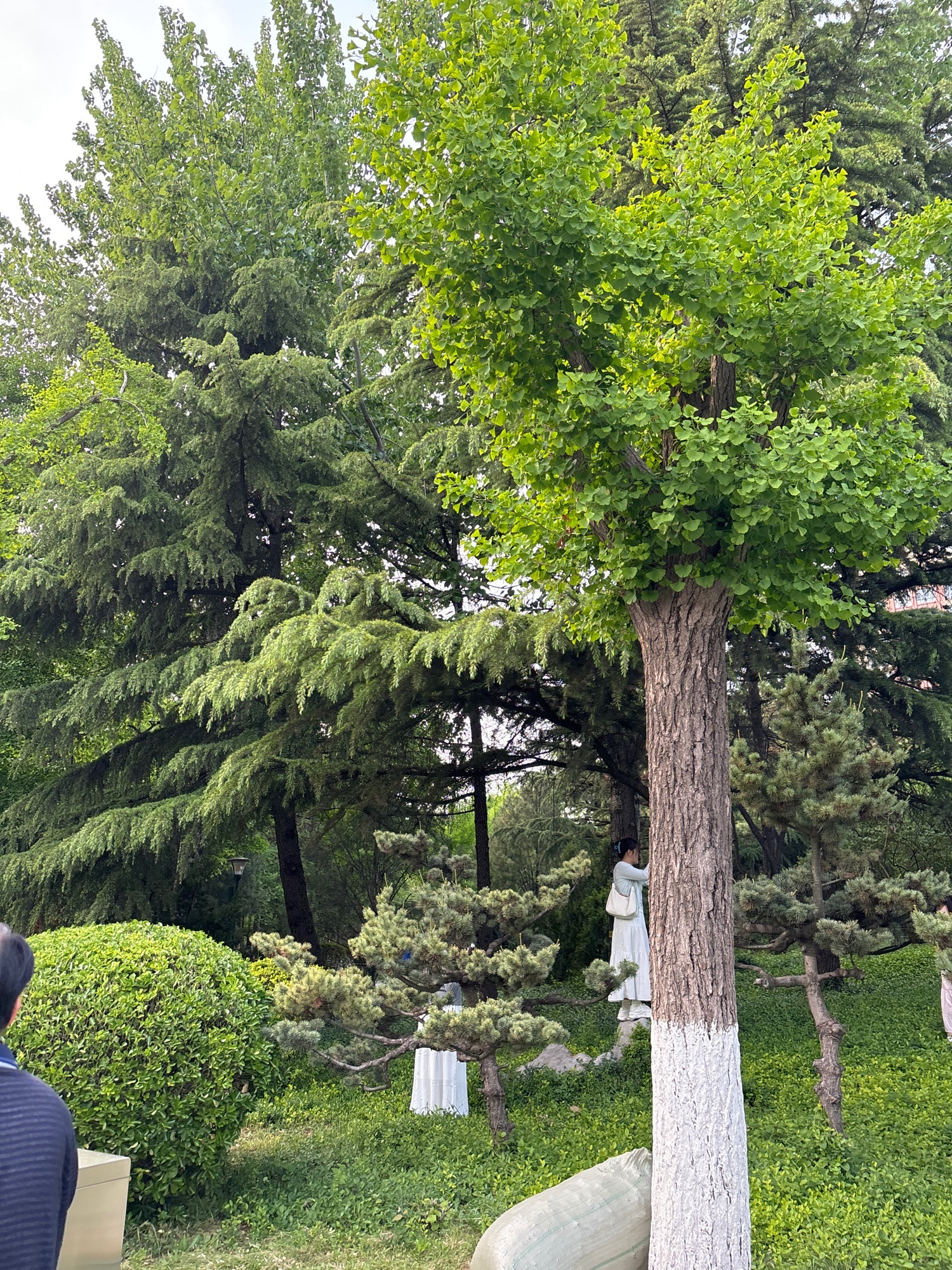 潍坊植物园旅行图片 3