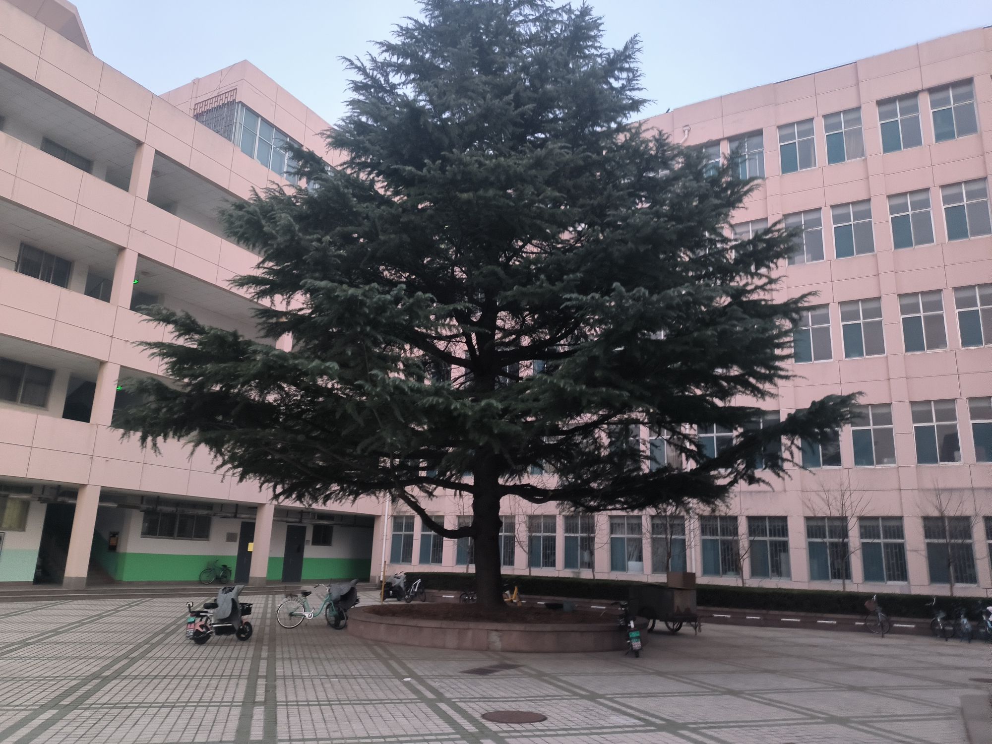 潍坊学院外国语学院