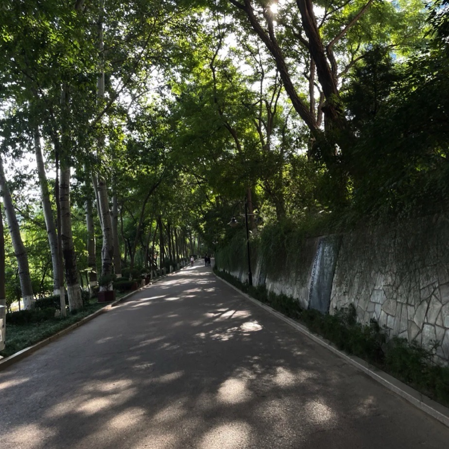 张面河景区旅行图片 1