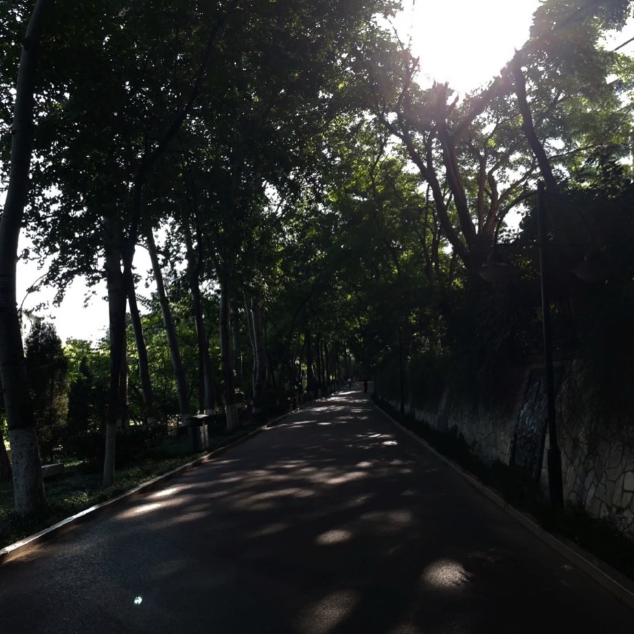 张面河景区旅行图片 2
