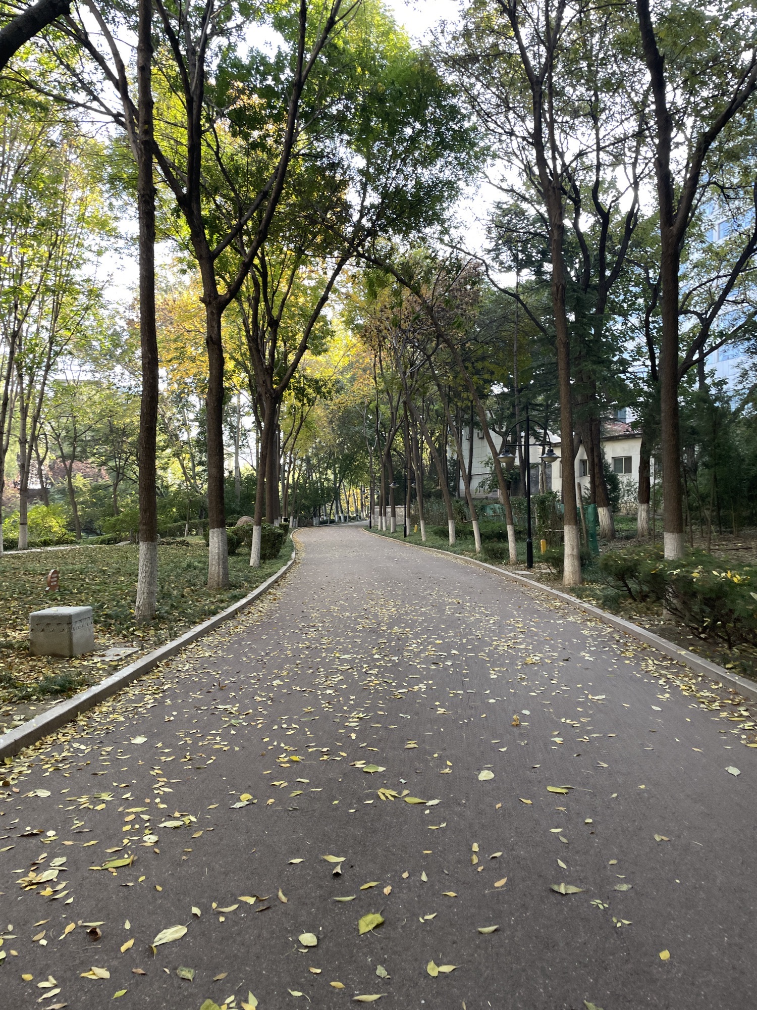 张面河景区旅行图片 1