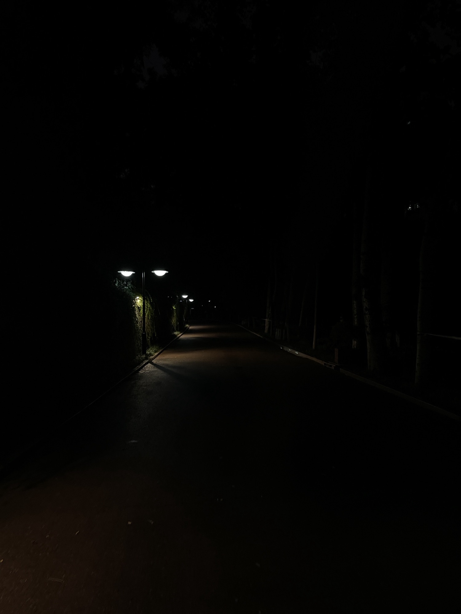 张面河景区旅行图片 1