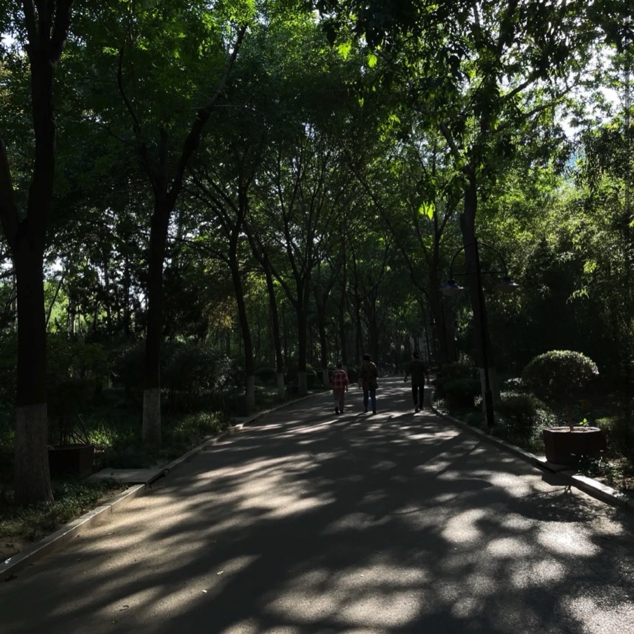 张面河景区旅行图片 3
