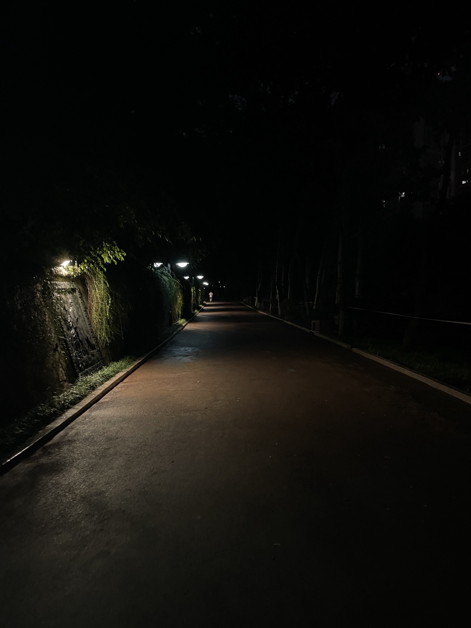 张面河景区旅行图片 3