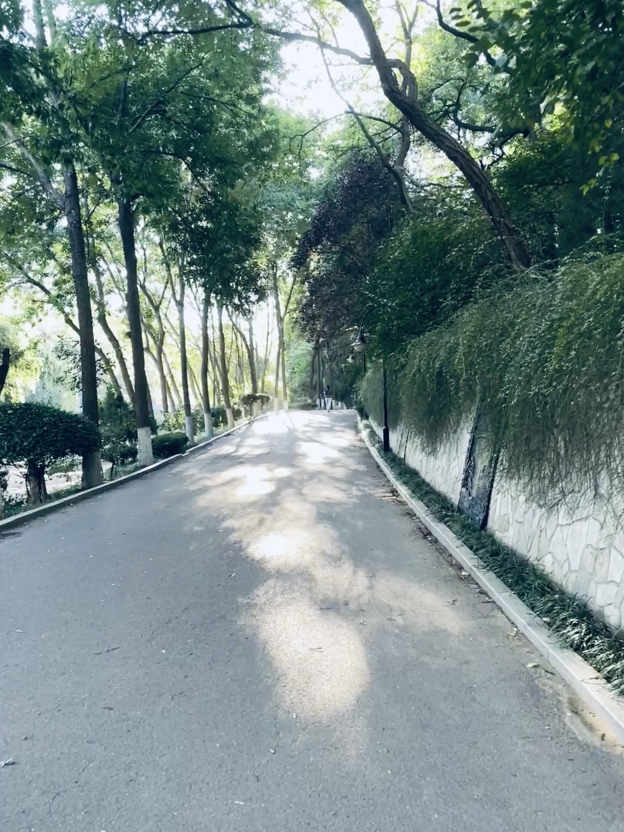 张面河景区旅行图片 2
