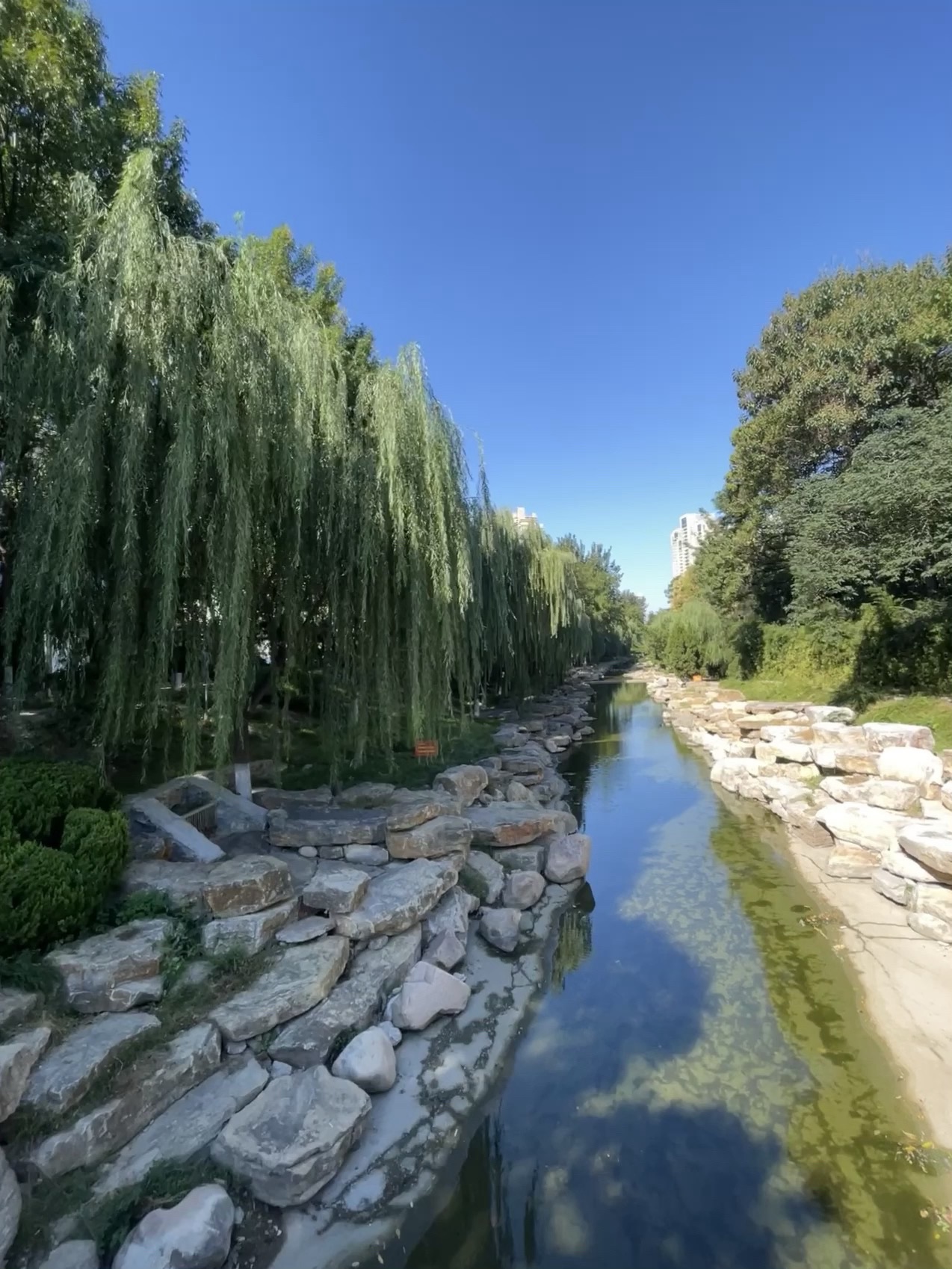 张面河景区旅行图片 1