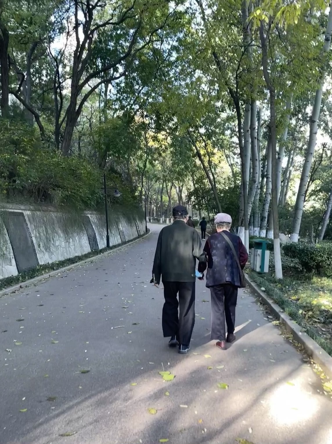 张面河景区旅行图片 2