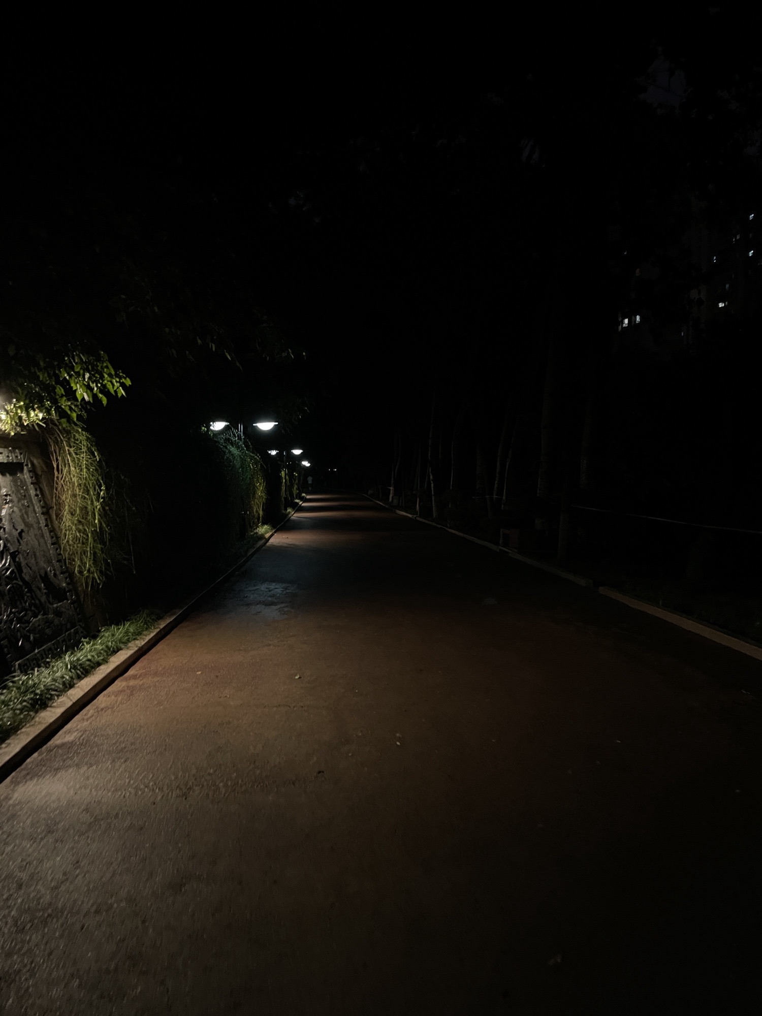 张面河景区旅行图片 2