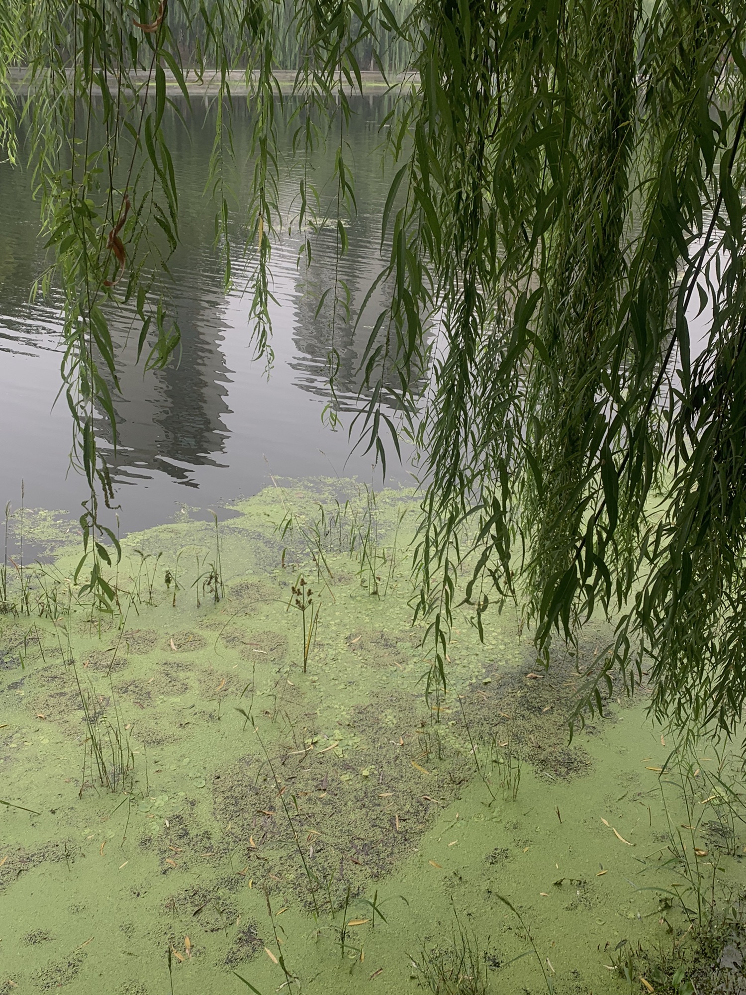 虞河旅行图片 2