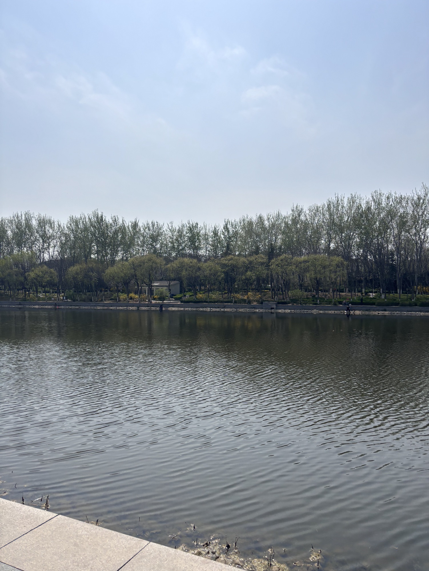 虞河旅行图片 1