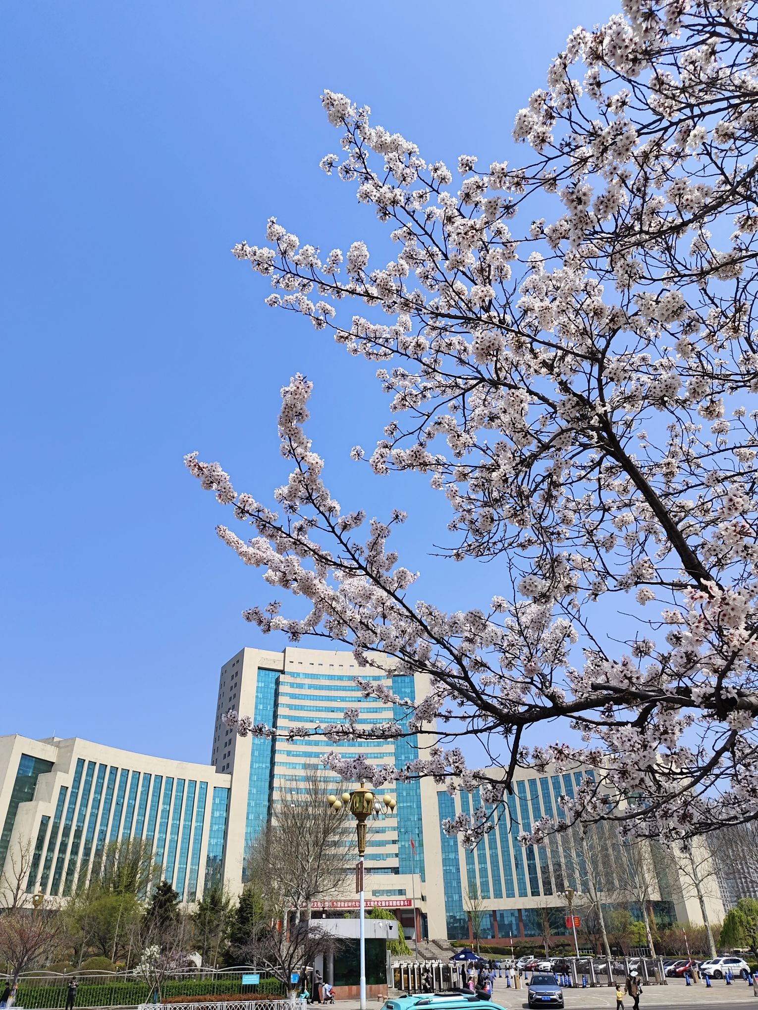 人民广场旅行图片 2