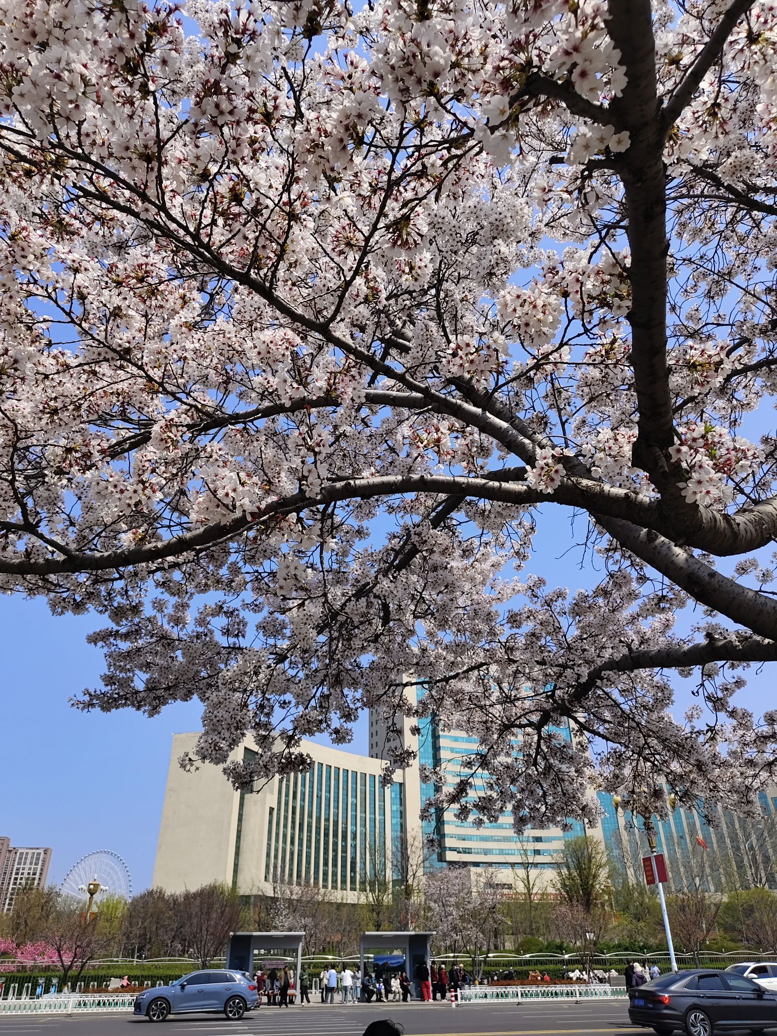 人民广场旅行图片 3