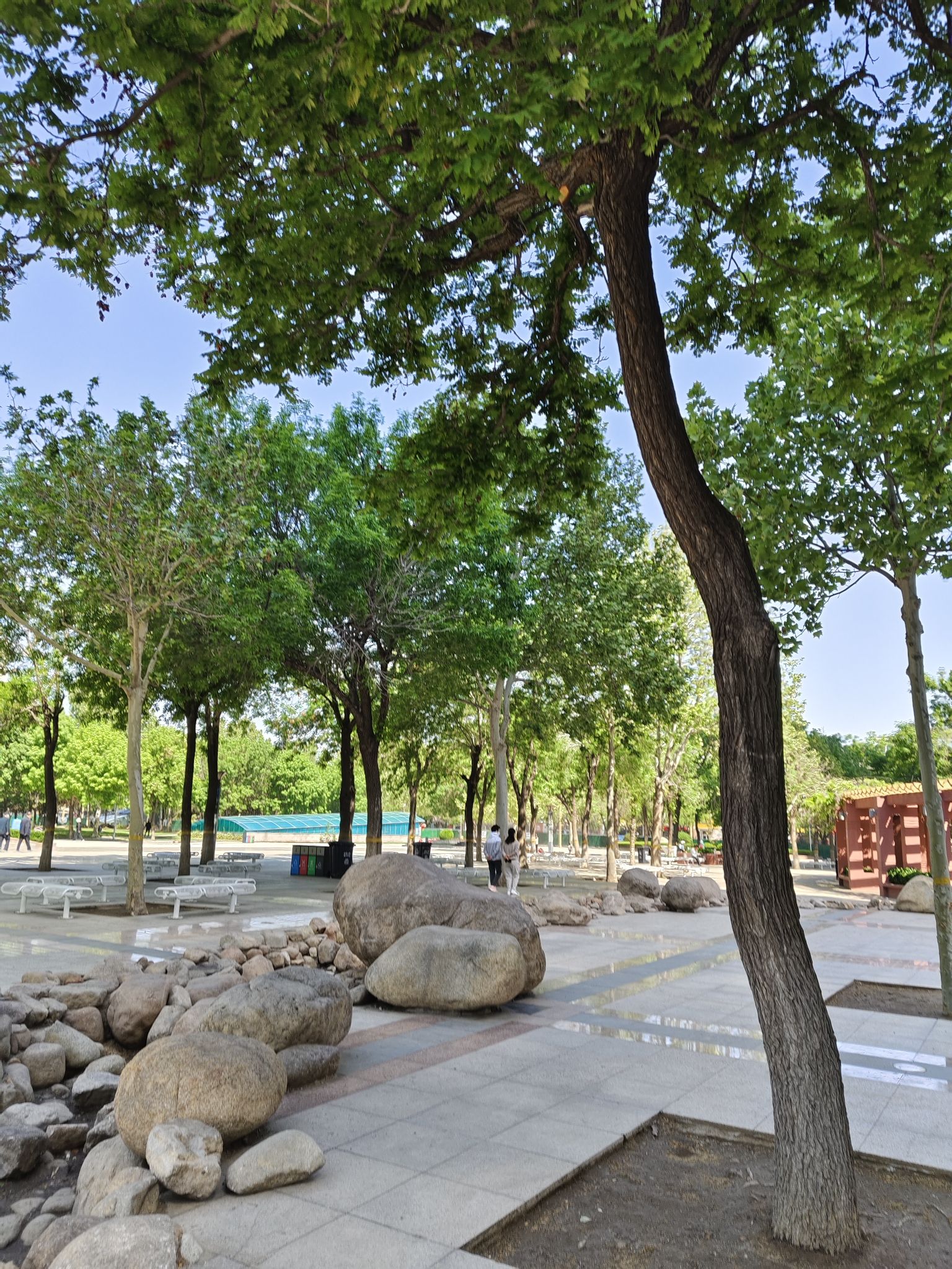 人民广场旅行图片 3