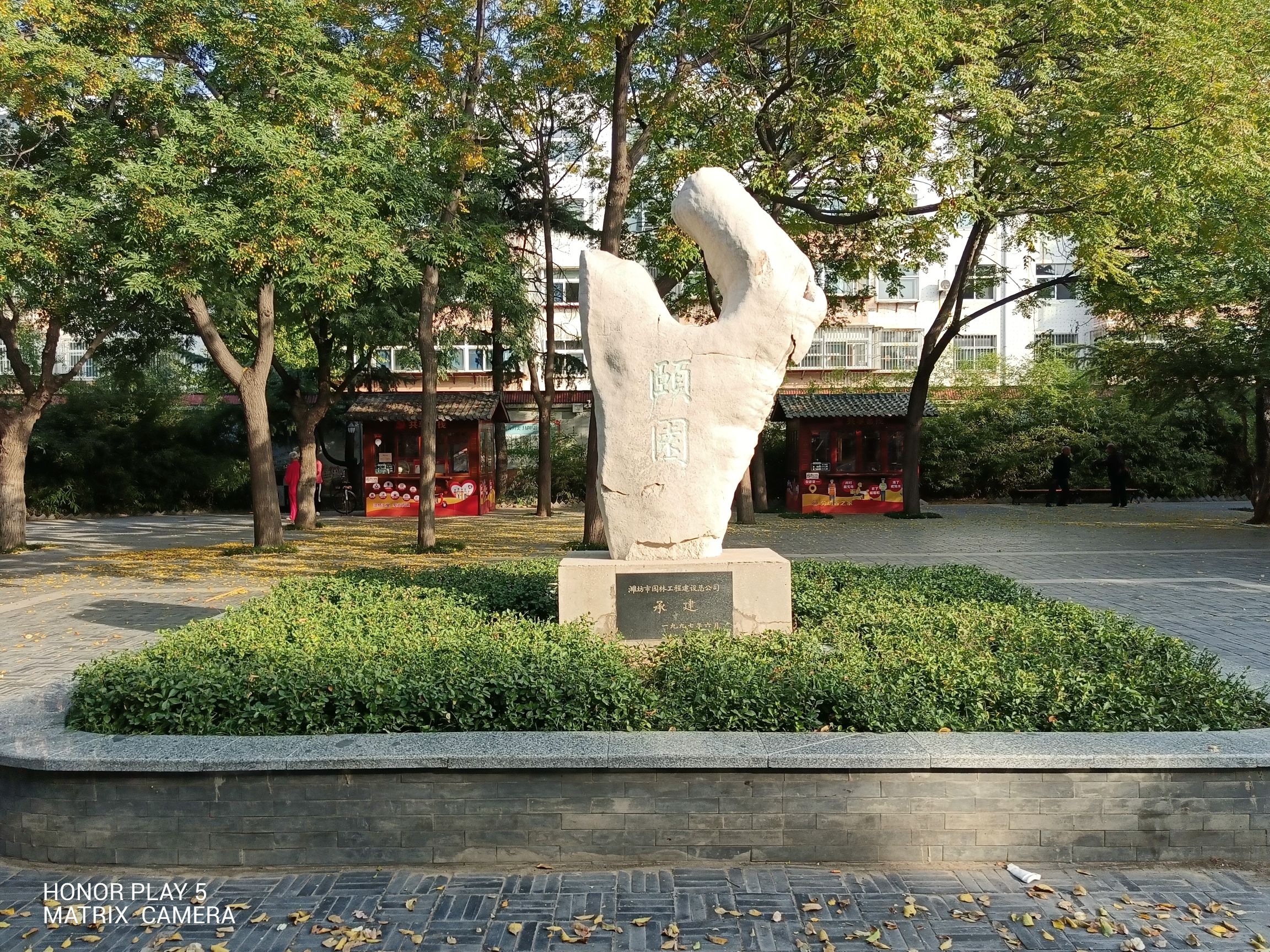 颐园旅行图片 1
