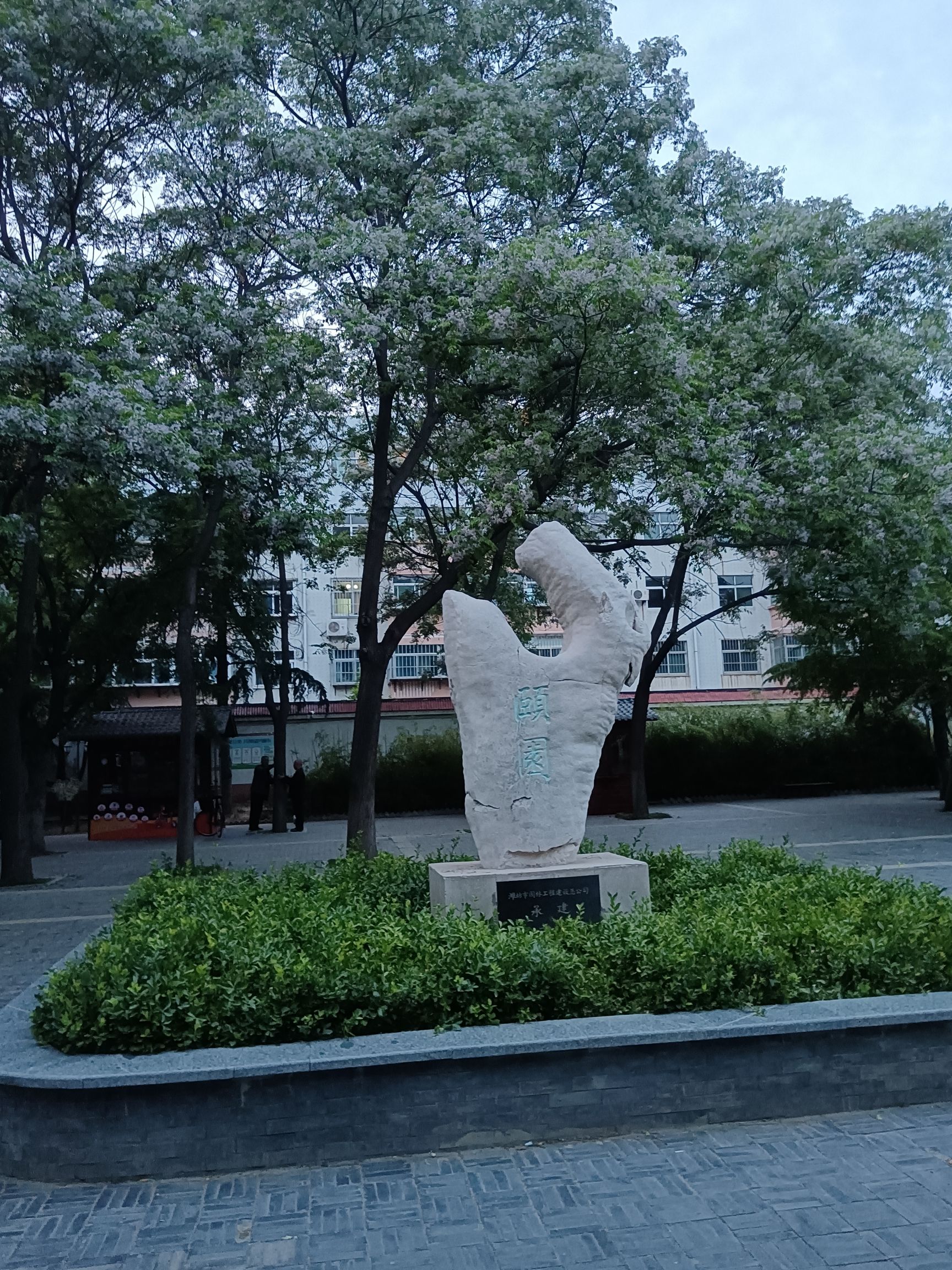 颐园旅行图片 1