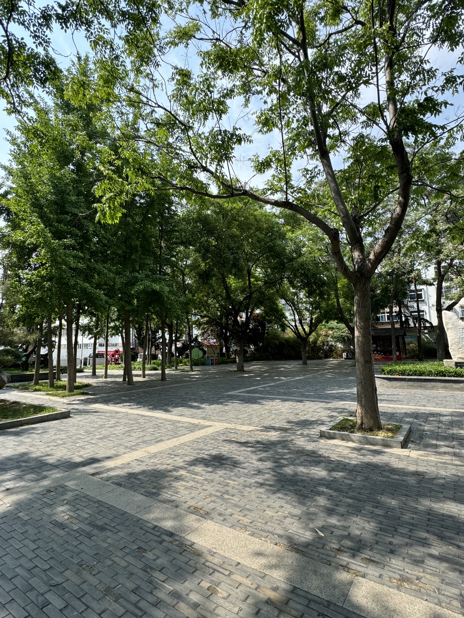 颐园旅行图片 2