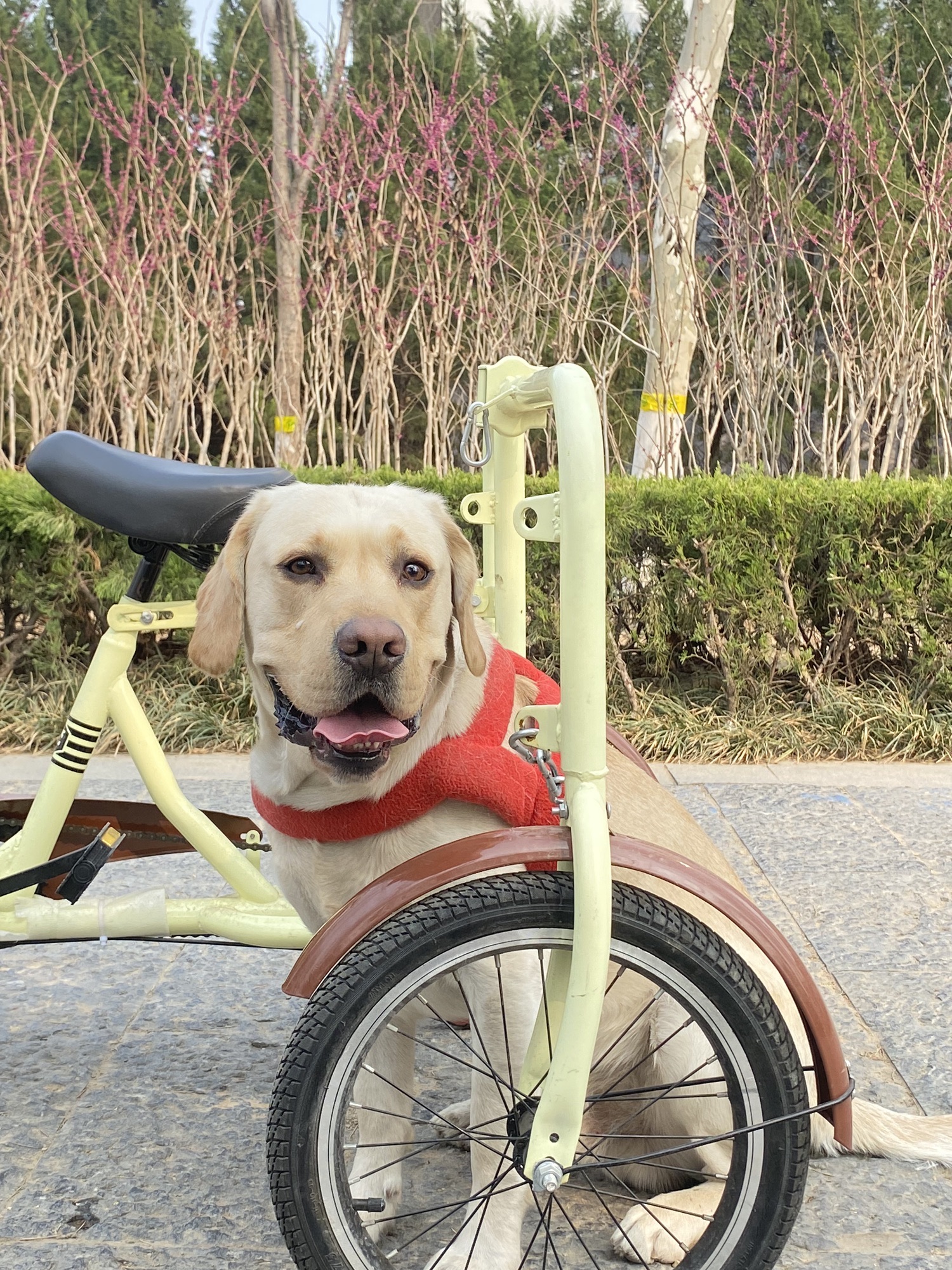 虞河公园旅行图片 2