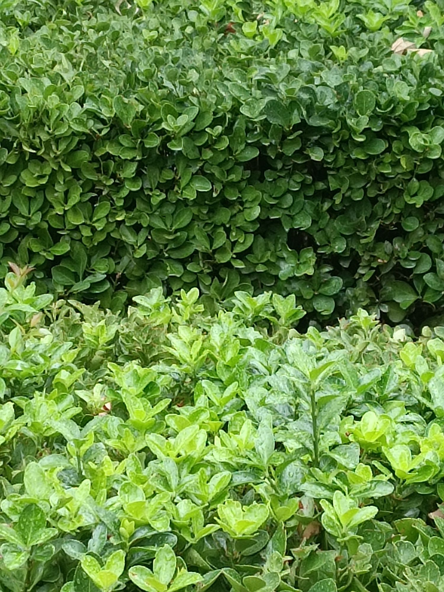 虞河公园旅行图片 2