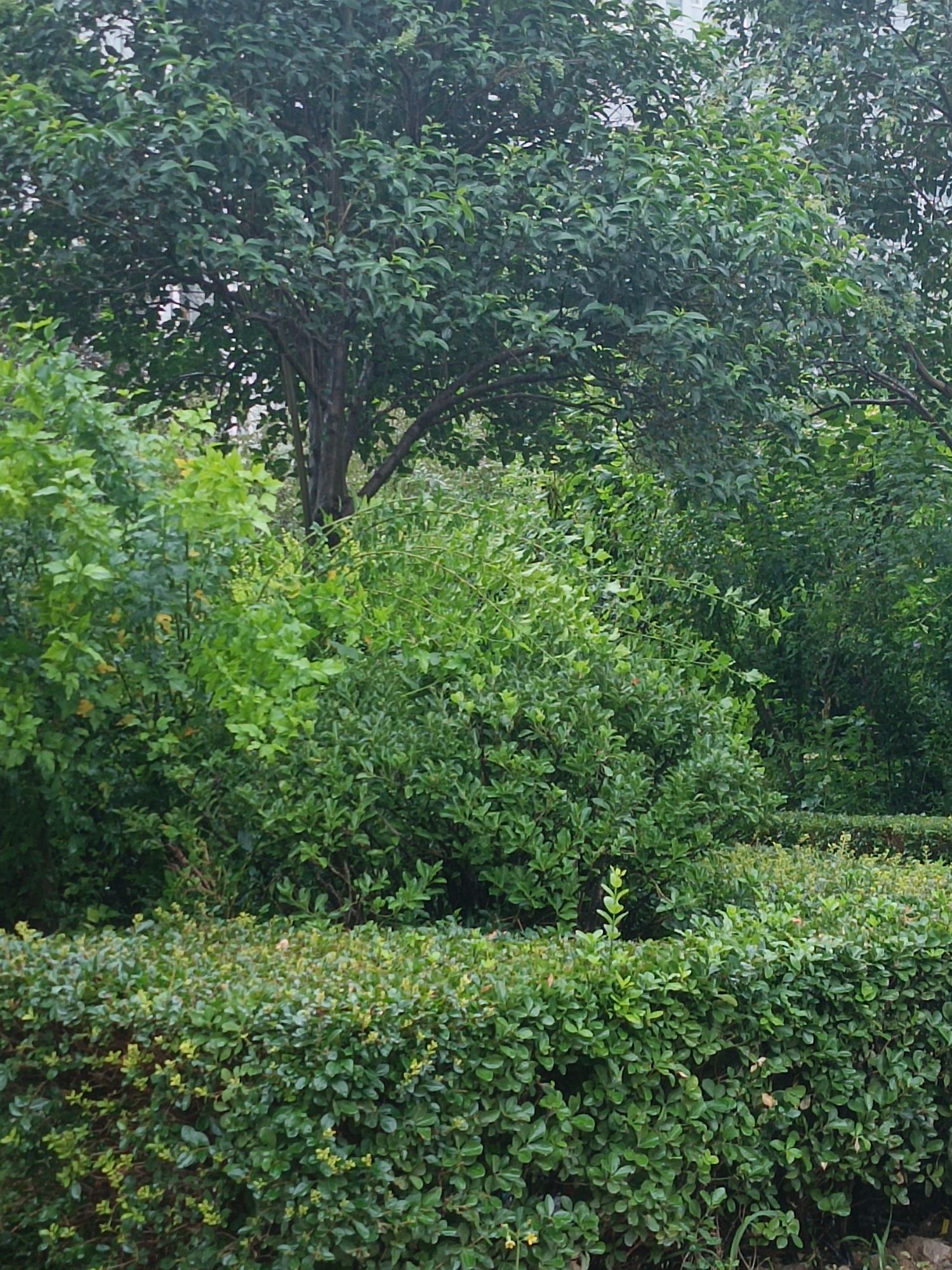 虞河公园