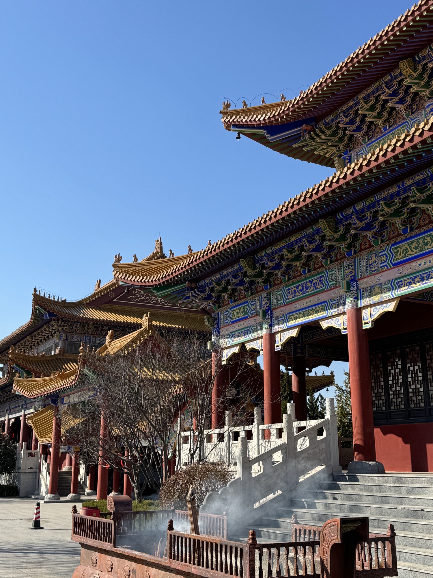 寿光林海生态博览园旅行图片 1